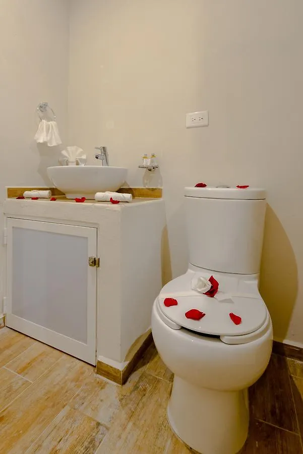 Condo Casa Del Arbol プレヤデルカーメン メキシコ